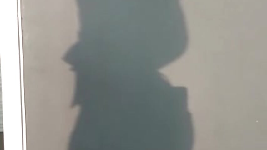 Undress me with your gaze while you masturbate－カメラキャストのmissvaleの動画