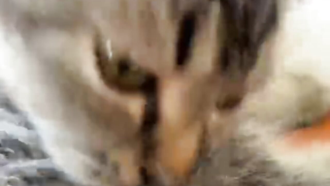 att,zyPbYWLRVKi2WrcL7s8rKeIZuDomK0Fzgr22P90_v4w - video by KayNguyenn cam model