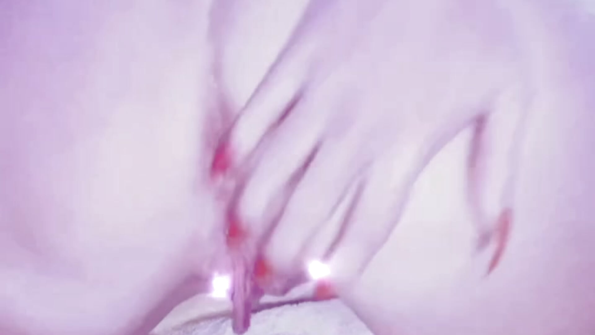 trim,A79E926F-7700-4B80-9341-DBA282BD3997 - modeljadeelee 캠 모델의 동영상