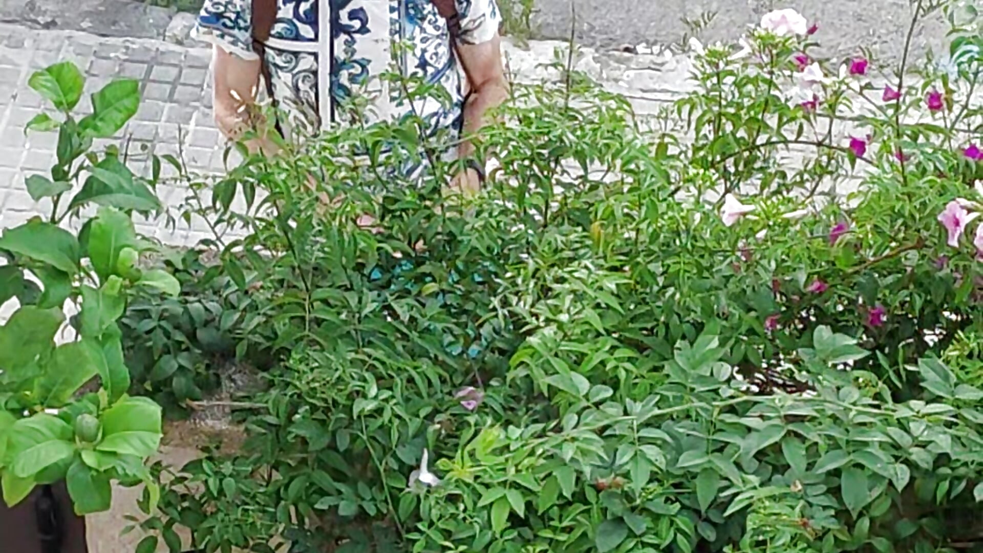 1000039752 mijn man komt thuis van het wandelen in cubbeles spain - video by gayphotograper cam model