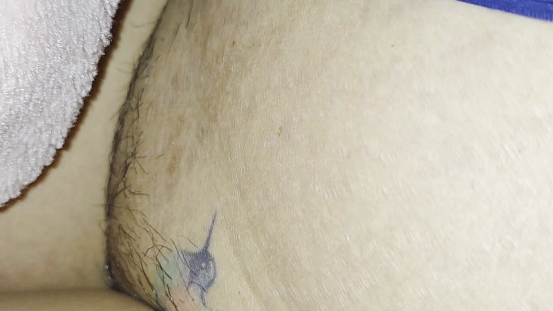 8145 - video by Coreano53109