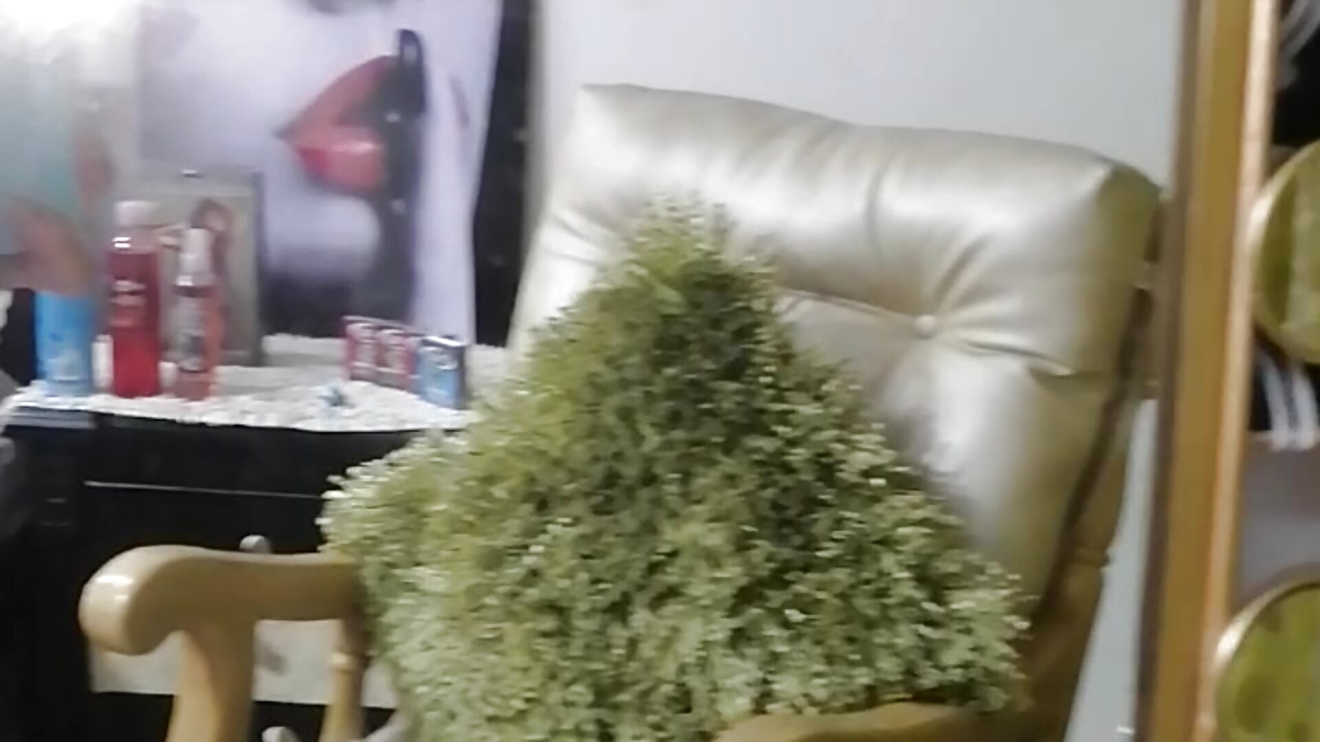 I INTRODUCE MY ROOM WHERE ALL THE FAIRY MAGIC WILL HAPPEN - video by HadaFoster cam model