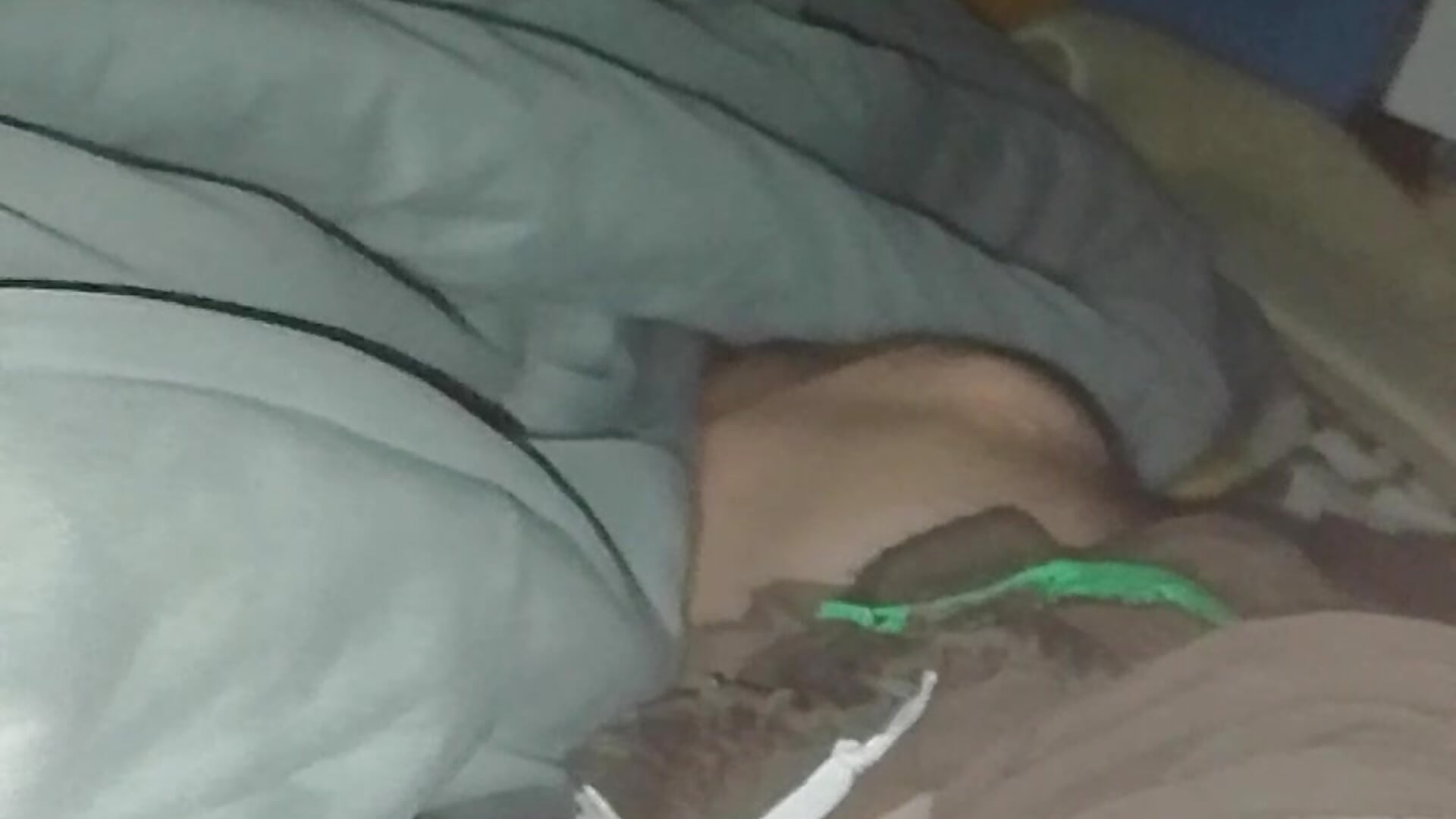 Já chci slečnu aby si s ním pohrála 😭😭😭 - video Pavlosss kameramallilta