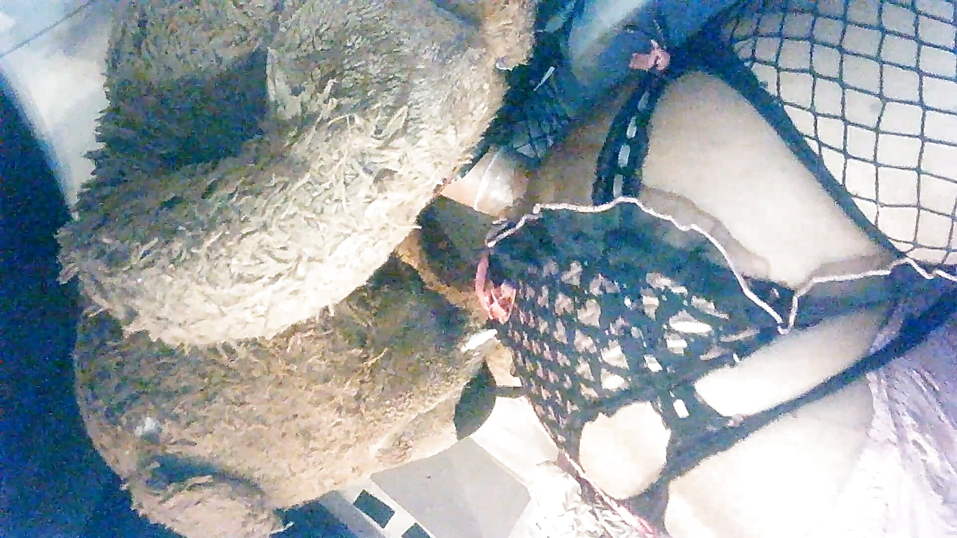 lol - Vídeo de lovepantys, modelo de vídeos