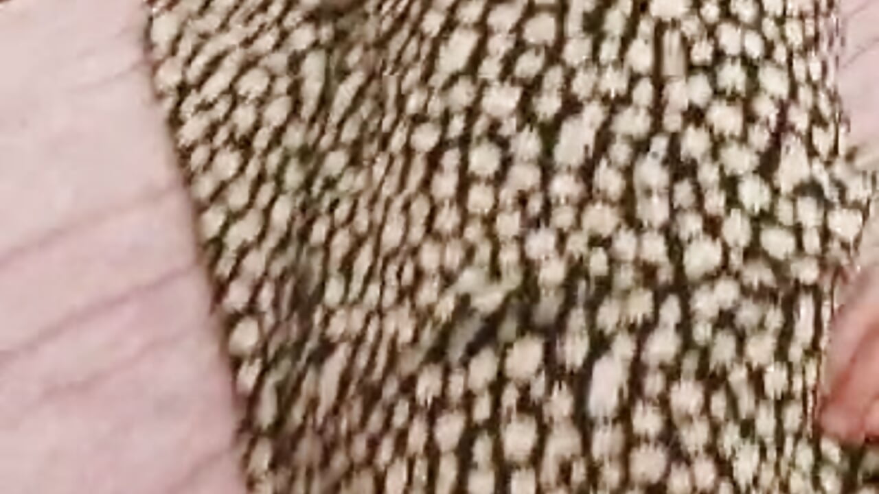 Messenger_creation_2A923F08-357B-4BD0-A768-08BB463E8C5D - βίντεο μοντέλου by_green_54