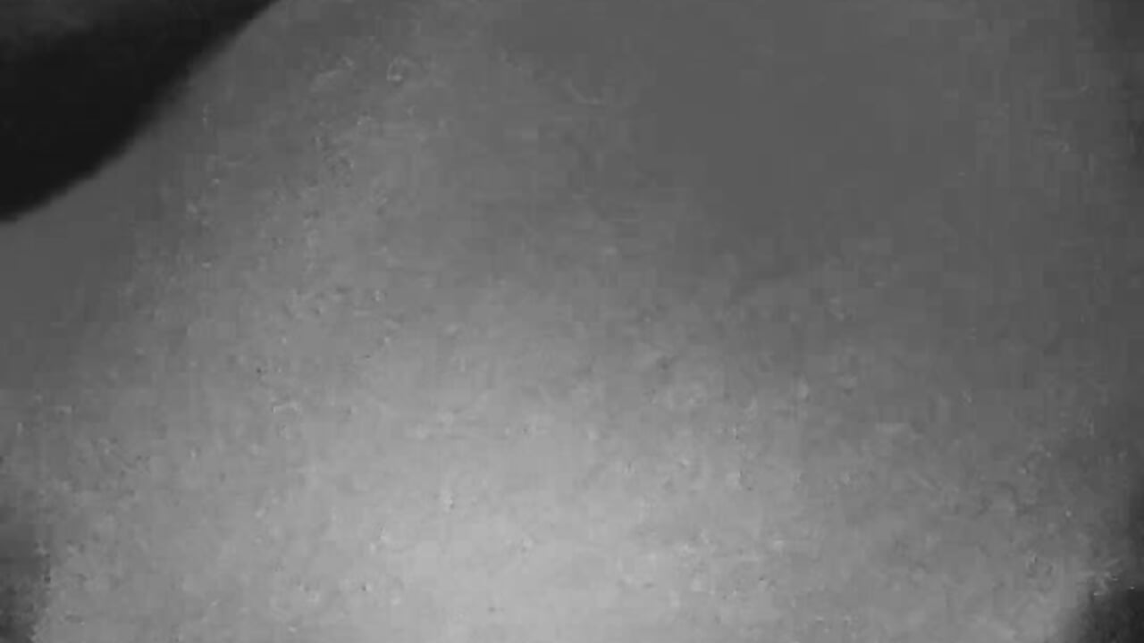 FuckMeHard – video od webkamerové modelky Fr3cklesLovesDick