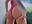 My fav bikini - vídeo de jasminesummer