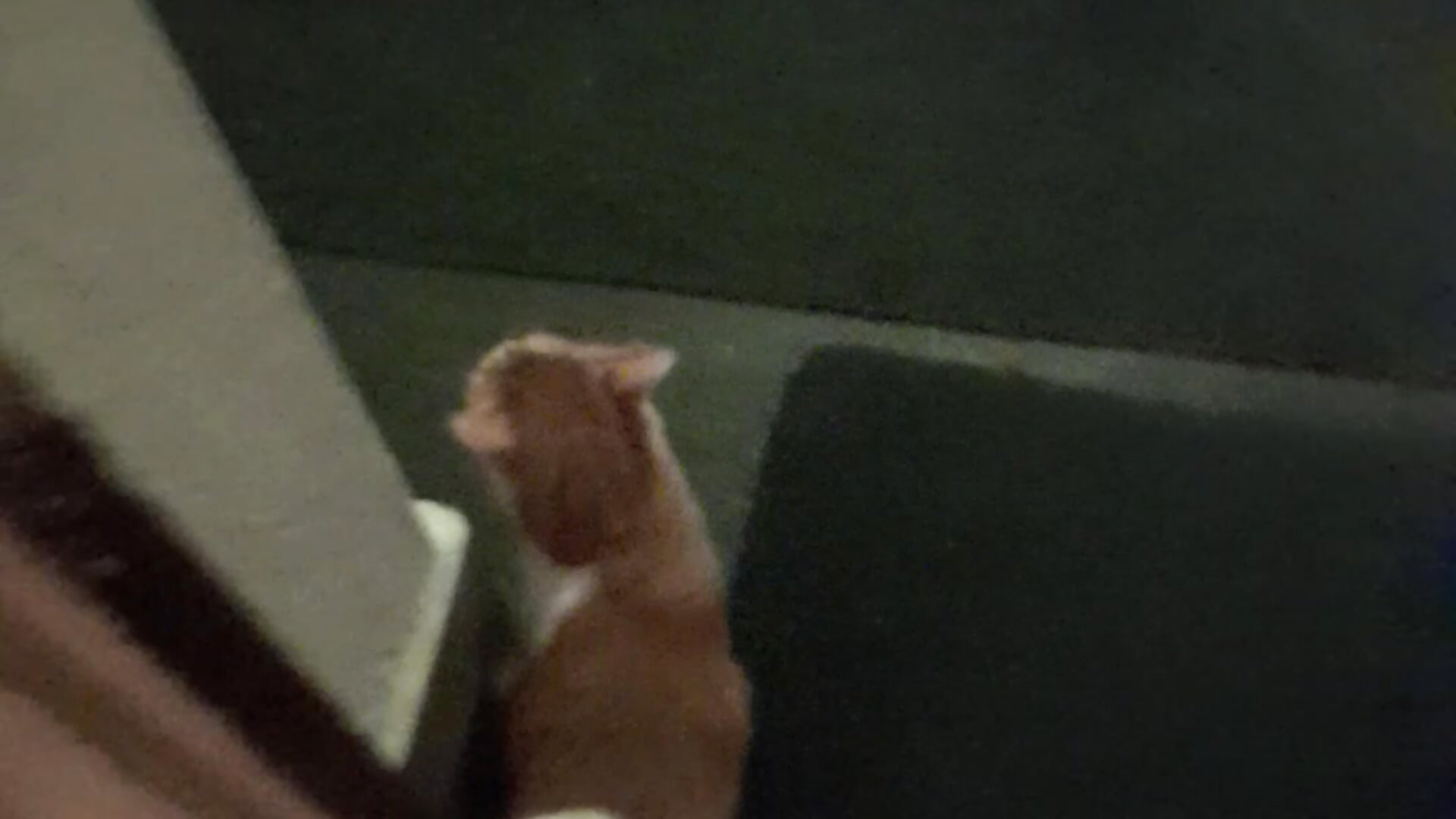 20240423_224106 – видео вебкам-модели KafkicZ