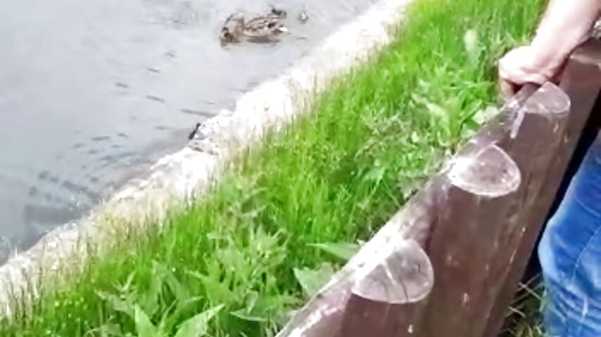 WhatsApp Video 2021-05-26 at 16,56,30 - SexyNicolleX 的视频