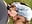 FIRST USER-blowjob PUBLIC - something for you? - video by Etwas_neugierig cam model