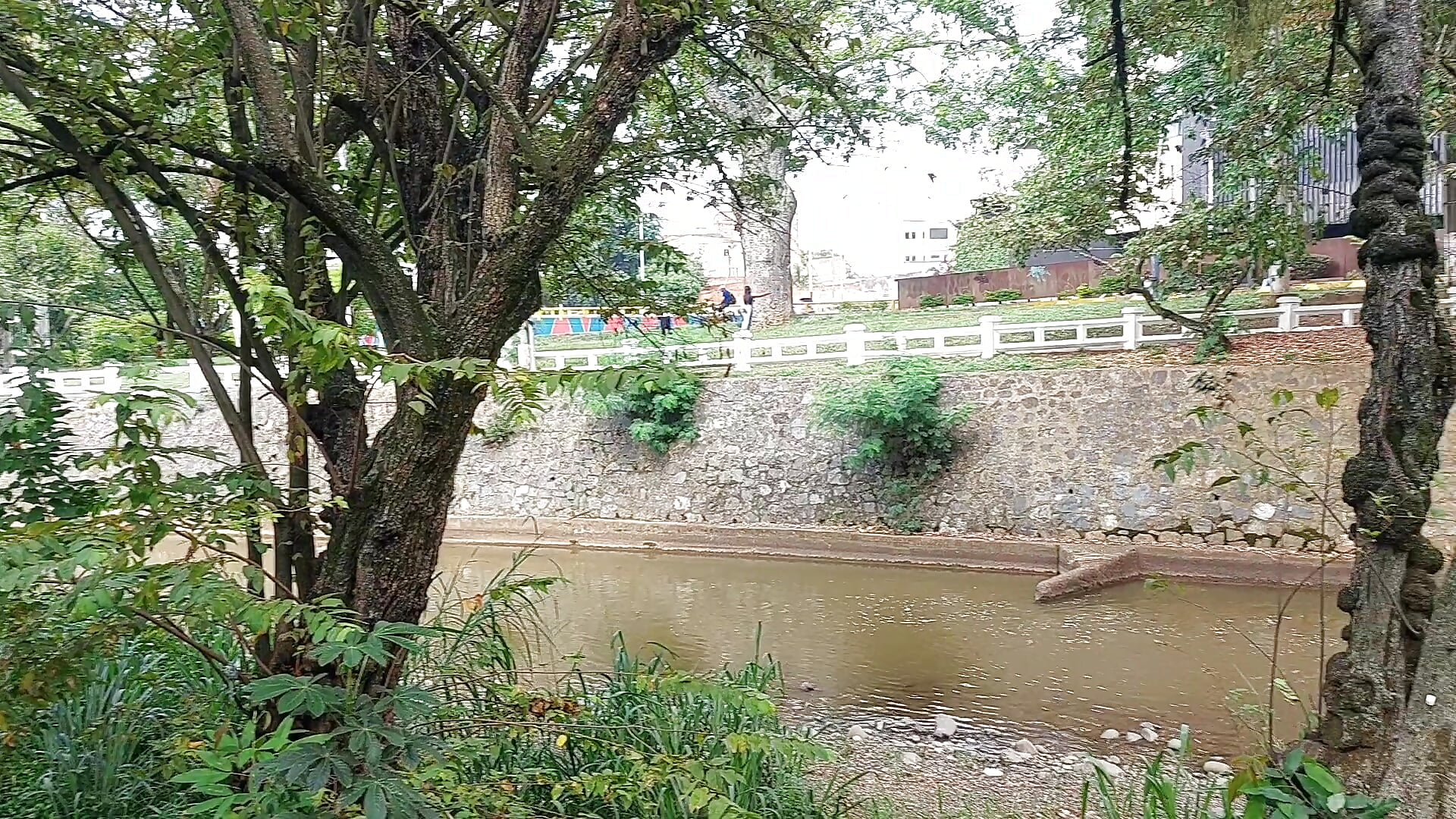 CALI - video by sashasweethot cam model