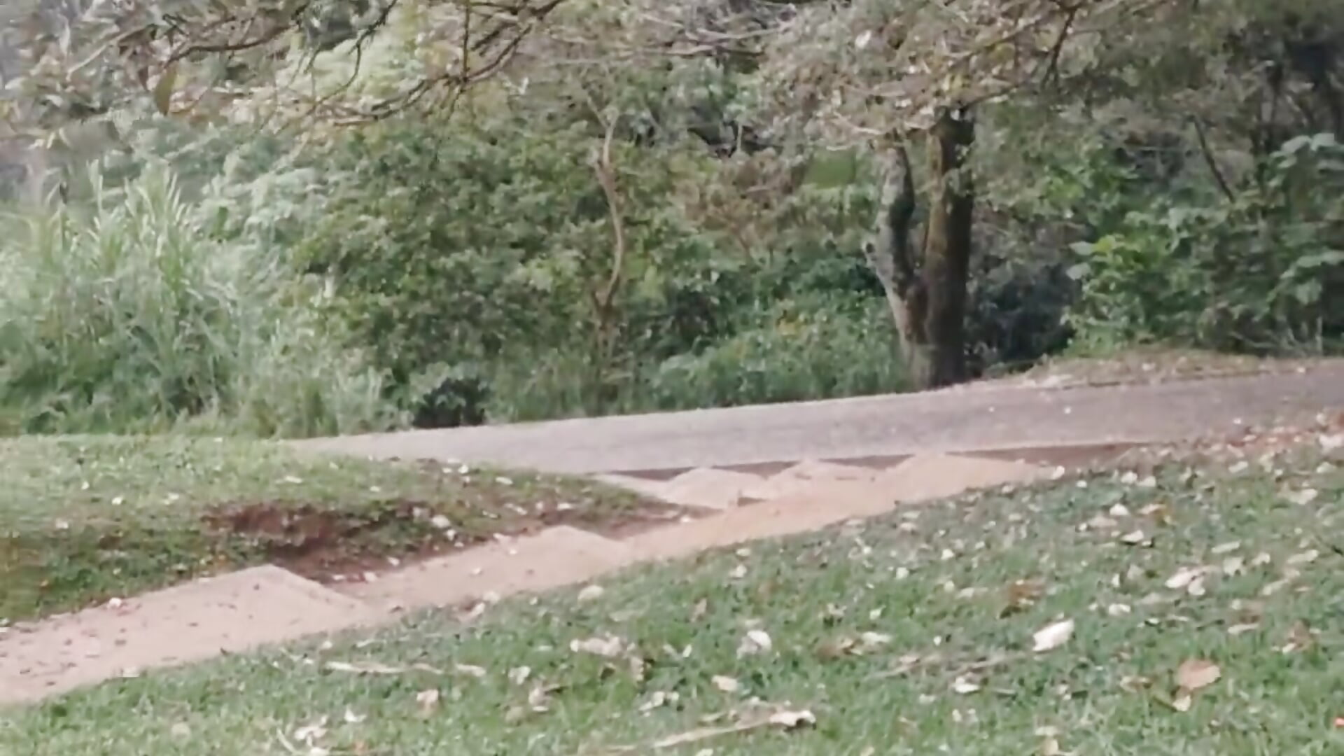 video stripchat aire libre - video by yeslluisa cam model