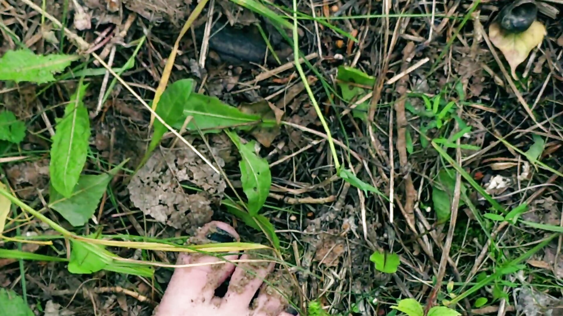 Barefoot in nature