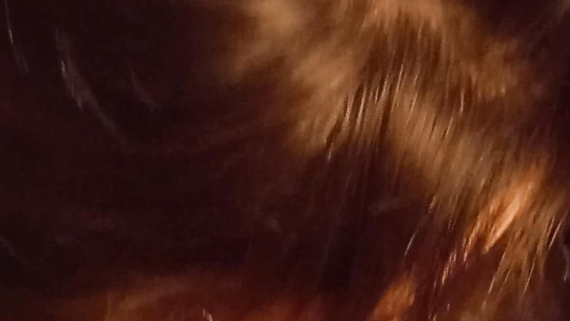 Petit BJ - video di IntimateTales modella di cam