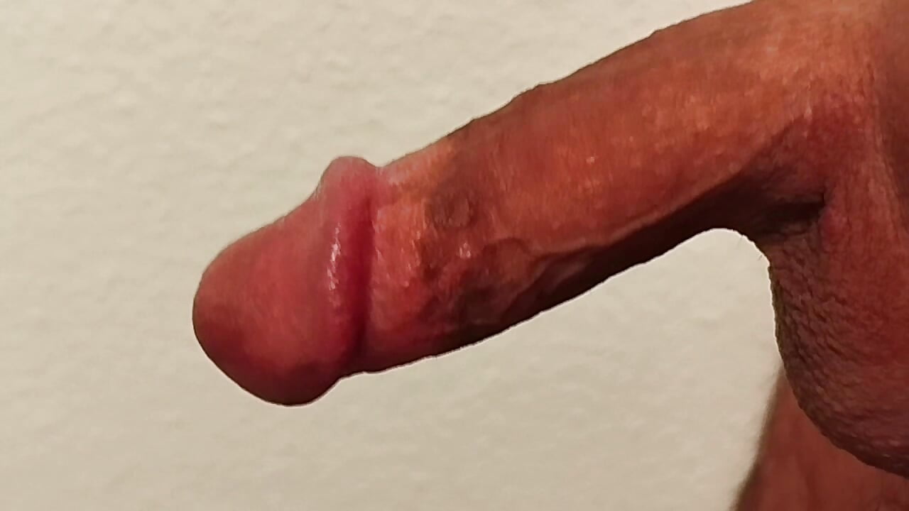 1000005960 - video by turkischerheld cam model