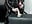 Ok, you need a punishment - Vídeo de _Jade_16