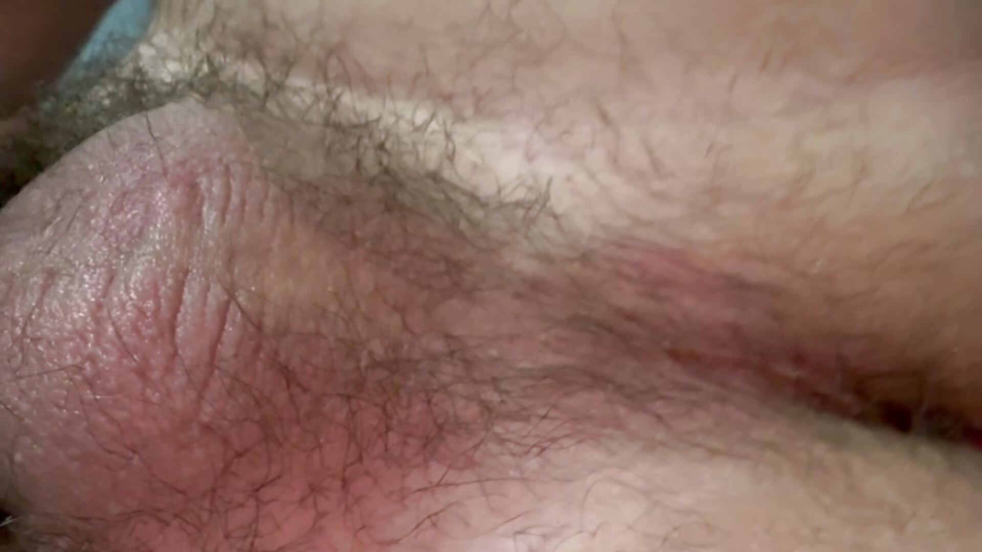 FUL CUM SHOW