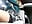 In line for coffee - video by Puzdosia cam model