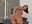 Milf fuck her asshole in bikini - video by ChristieKroes cam model