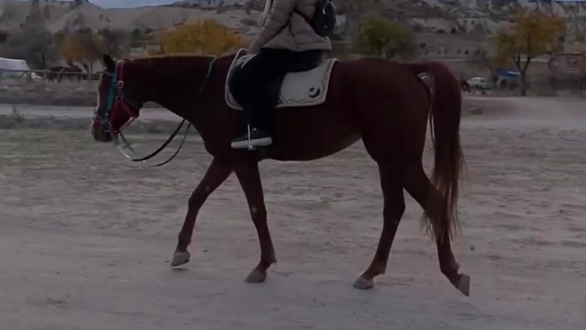 Horse riding in Cappadocia - video by PamelaWet cam model