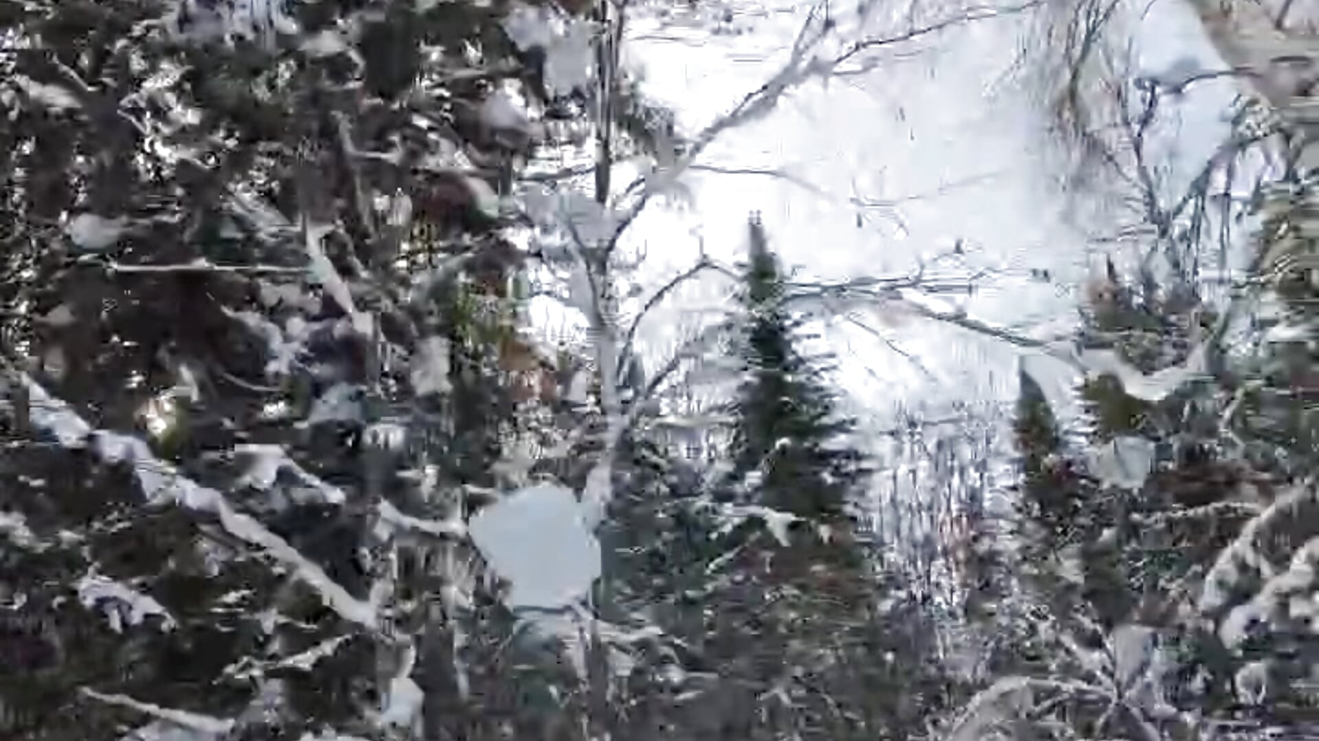 A trip in the mountains by snowmobile - video by Erika_Lov cam model