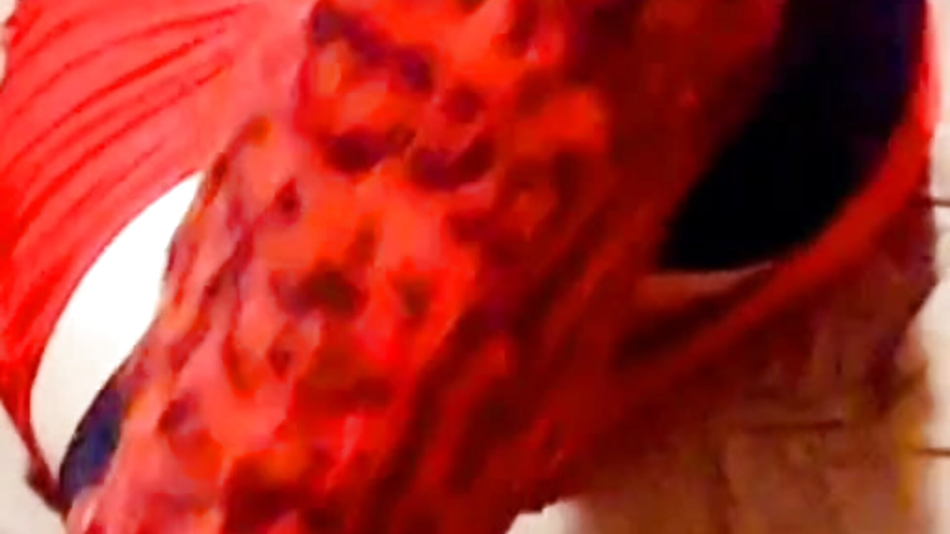 Basic instinkt in red - βίντεο μοντέλου DiamondDrillBit