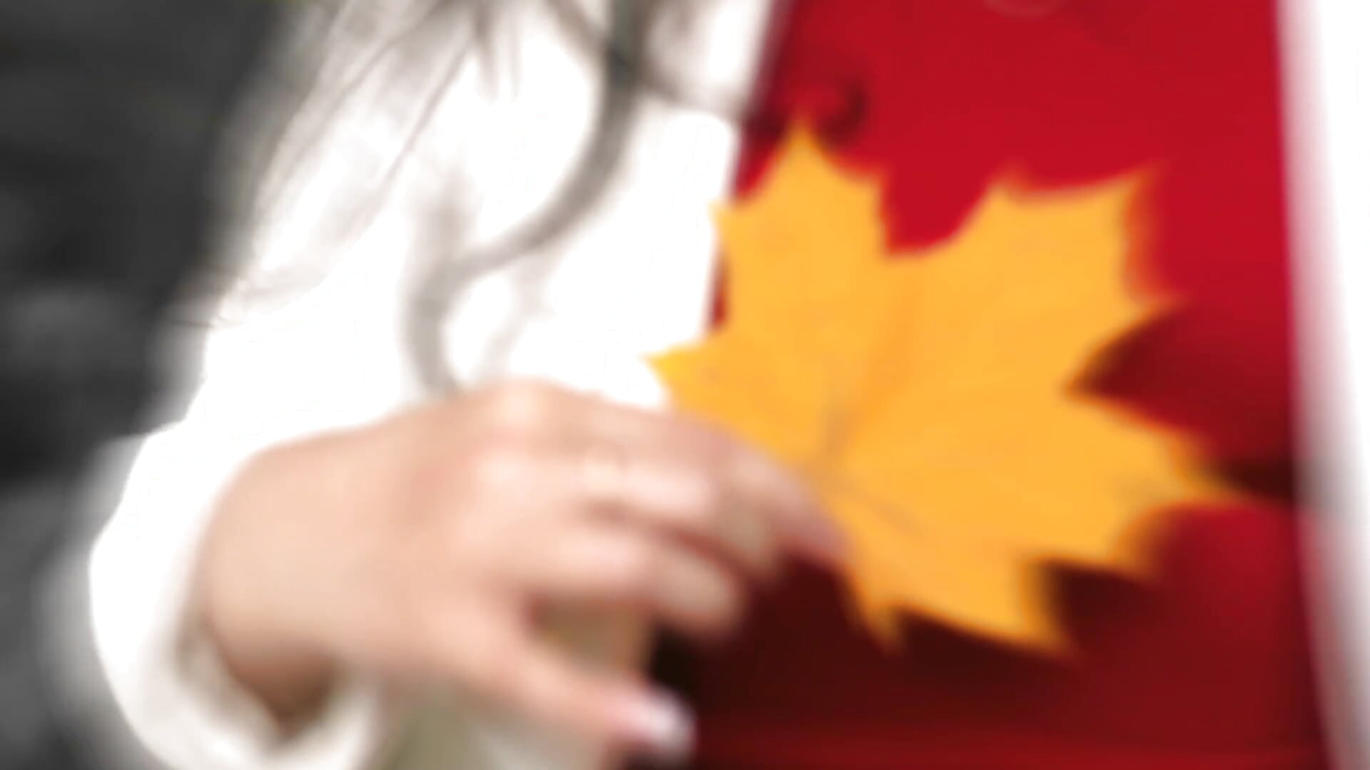 autumn - video oleh model kamera SonyaParadise