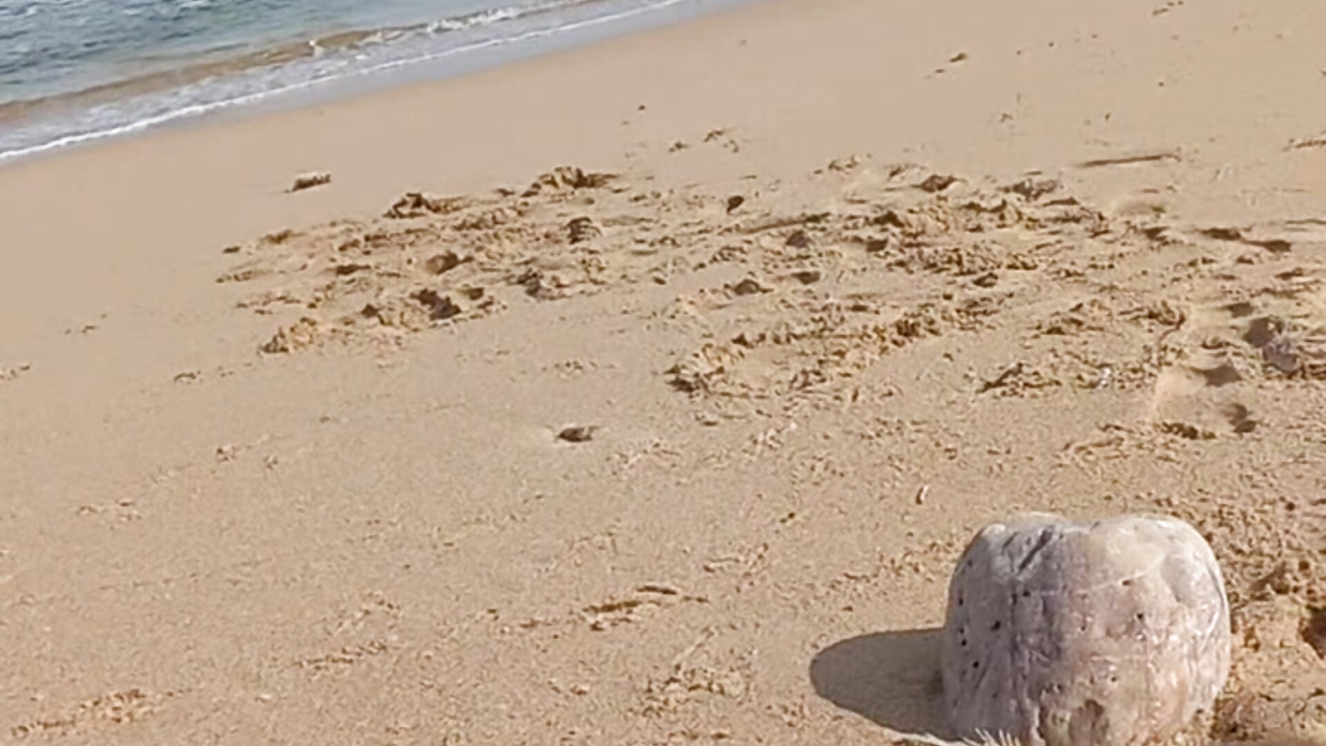 masturbate a boy while they record me - video by sexicaribe2 cam model