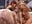 Foursome Damon is the Lucky Guy - Vídeo de JadeandDamon