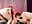 Threesome for Xmas with Misshornymiss - Vídeo de JadeandDamon