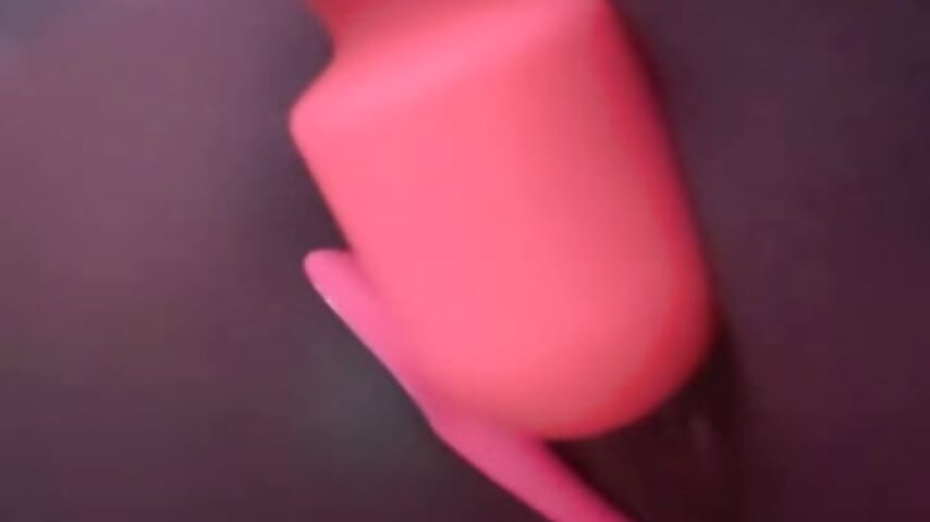 Pink Pink & Chocolate Pink