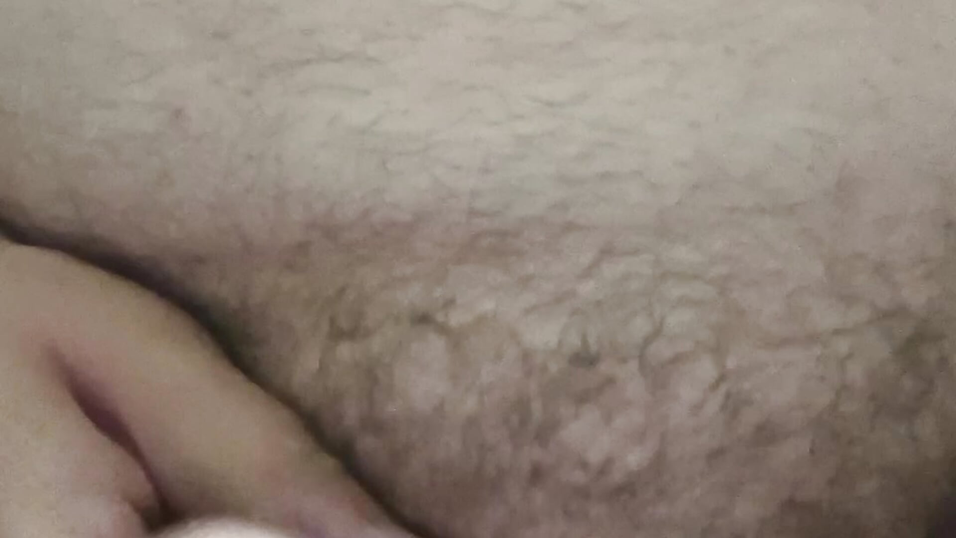 bear body - video by jizzmaster3131 cam model