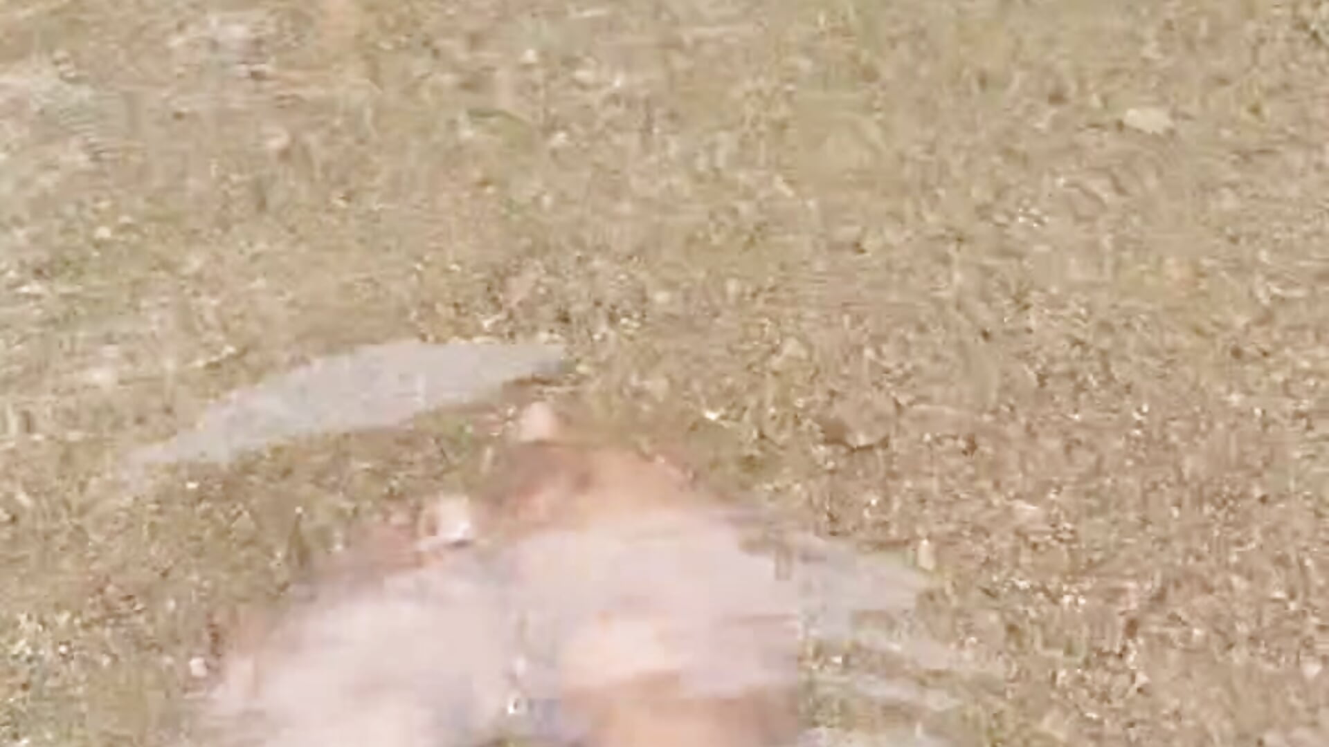 I hope u like worship toes feed - video by tsviolett cam model