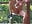 Swinging naked outside - video by Alyssa_rhoades cam model