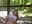 SQUIRTING in the woods - video by Alyssa_rhoades cam model