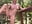 naked showing you how flexible I am - video by Alyssa_rhoades cam model