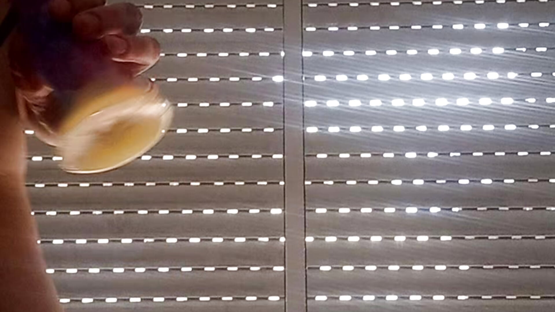 EXPLOSION 📢🈵️ – video modela na kameri vamporasuccubus19777