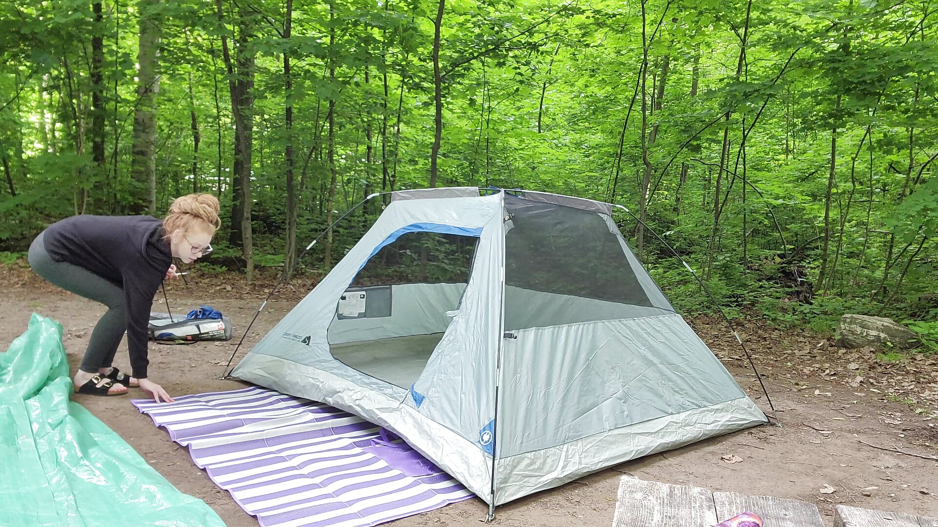 How to Set Up a Tent ⛺️ - video by LucidLucy cam model