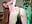 Naughty 420 Session - video by LucidLucy cam model
