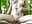 Forest Fun - video by LucidLucy cam model