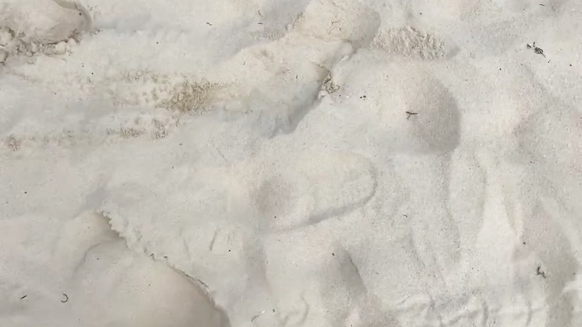 Feet - vidéo du modèle de showcams -Ellisa-