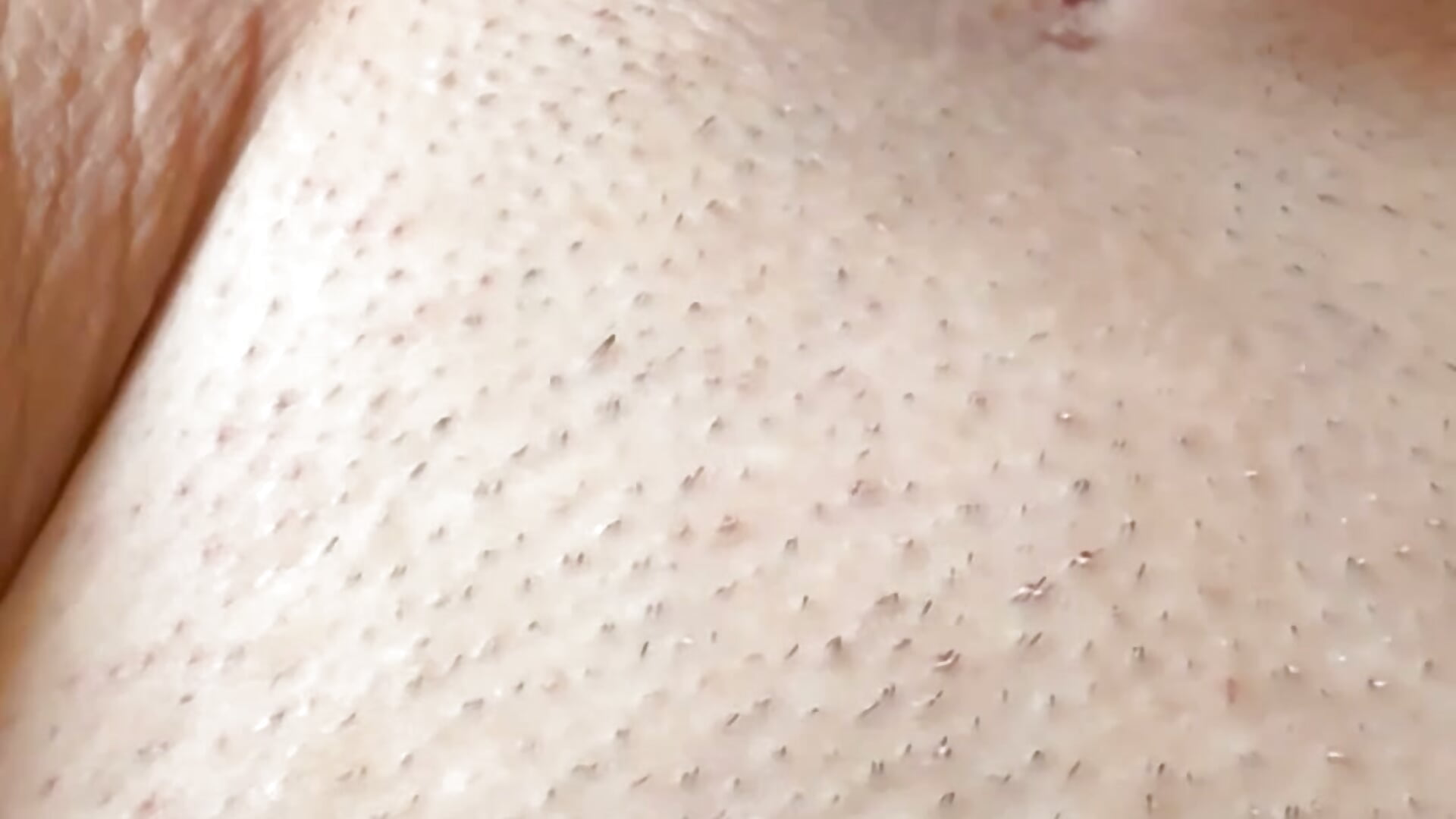 Mi ha leccato la figa fino a venire, mi ha scopata fortissimo e mi ha sborrato in faccia😍💦 - Vídeo de couplepenetration, modelo de vídeos