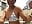 Mama enjoys swimming pool (fans) - video by Mama_Eva cam model