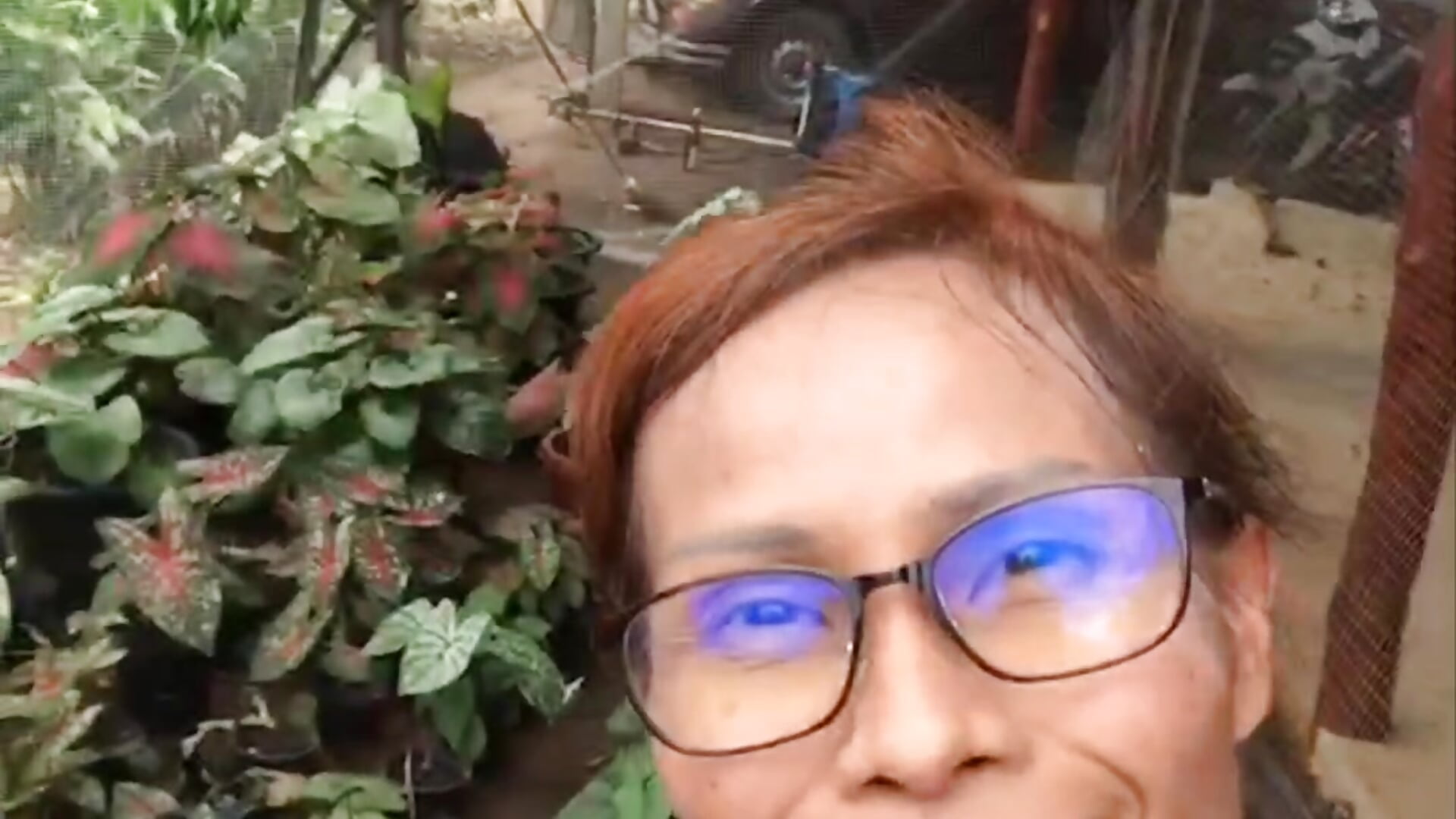 A day on farm - video by Mama_Eva cam model
