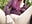 Creamy Outdoor Squirt! - video by AudreyDay cam model