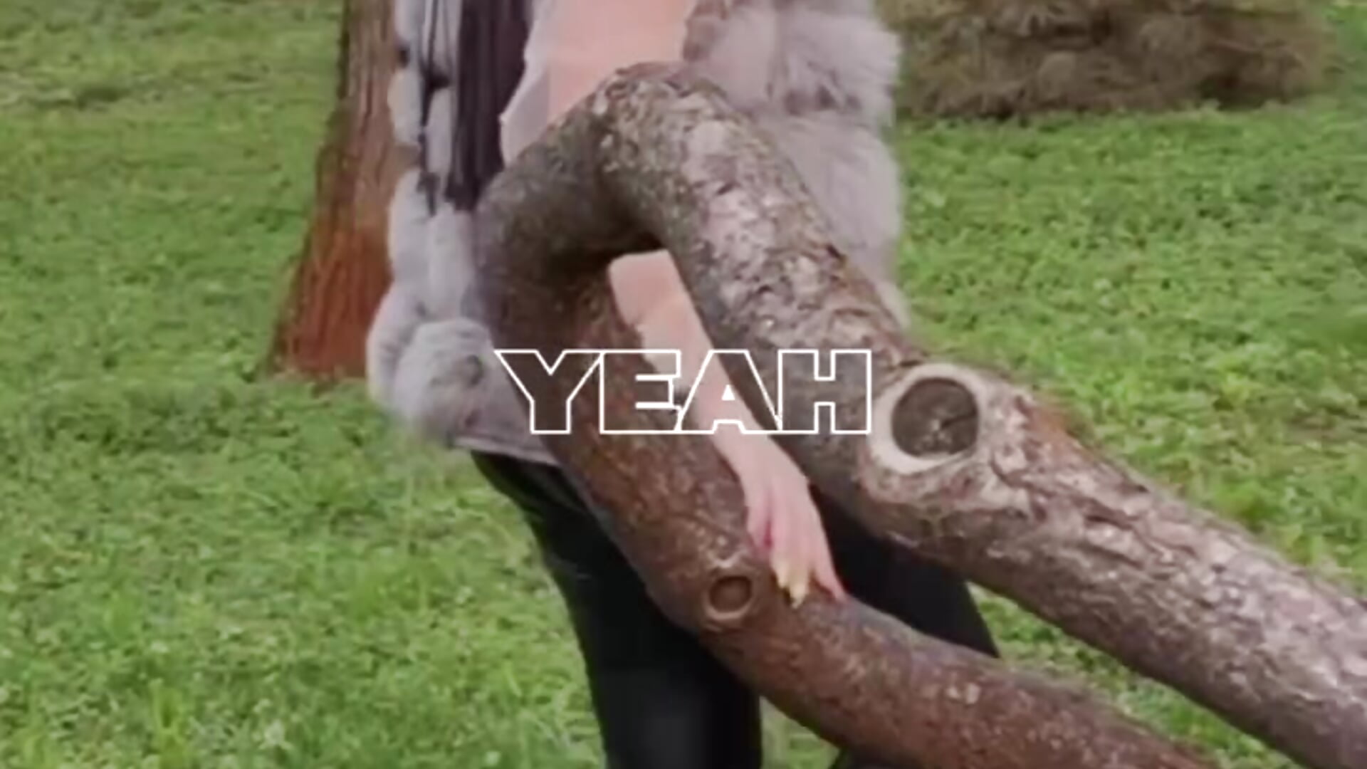 Different outfits - video by Cutie_orgasm cam model