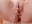 Stick a rod in my urethra and squirt - video by Cutie_orgasm cam model
