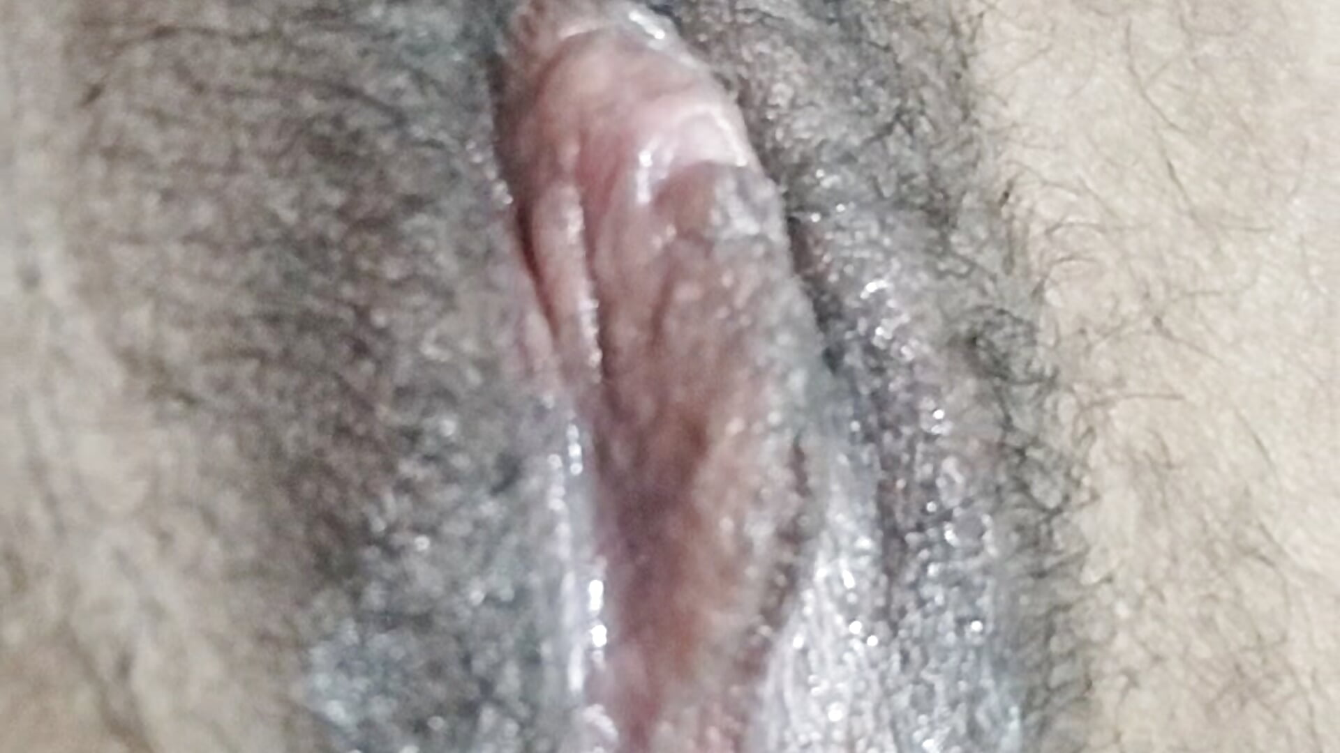 Zoom pussy wet