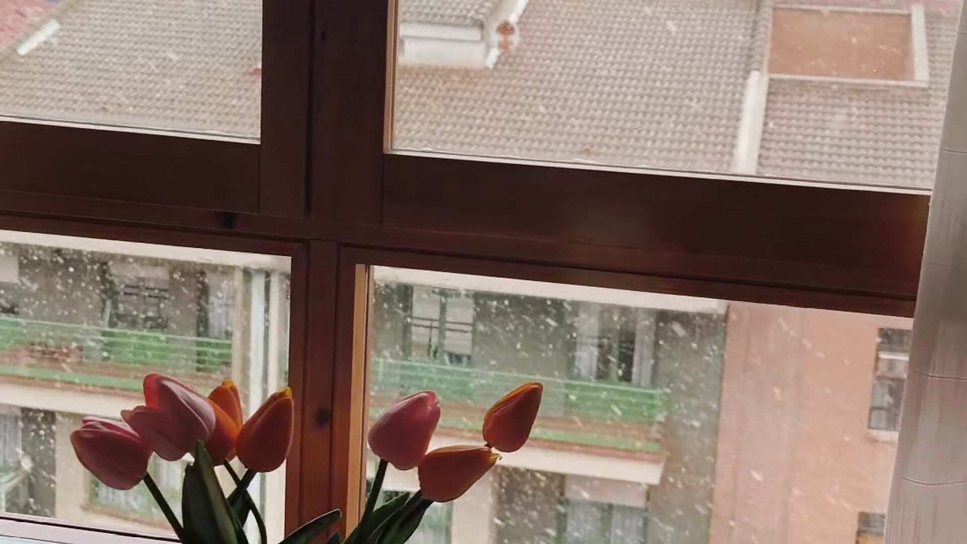 Realistic Routine · 4k - video by Ella_Rose cam model