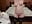 play pussy vib nice - vidéo du modèle de showcams LittleShyy